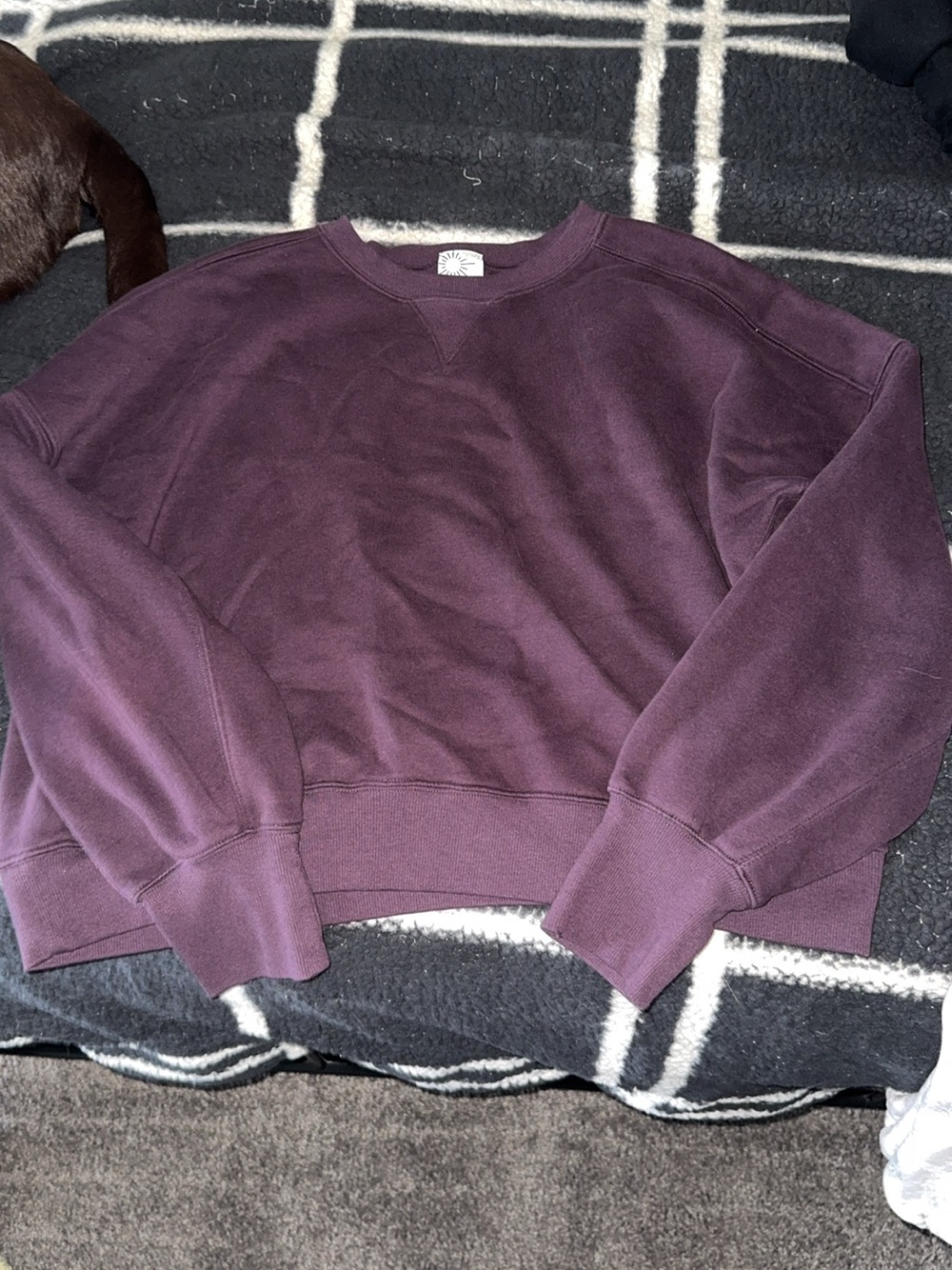 Aerie offline cloud Plum Crewneck Sweatshirt - Solid Pullover